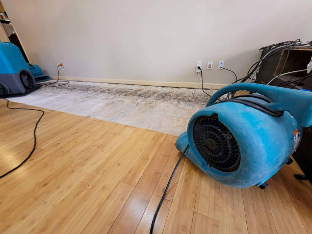 Professional Sewage Cleanup technician working in Ashley, MI